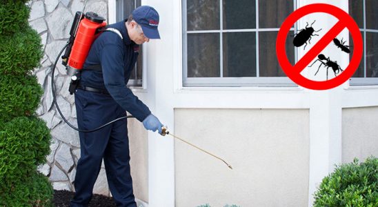 Sancaktepe Bit İlaçlama böcek ilaçlama ve haşere kontrolü — ilaclama-tr.com